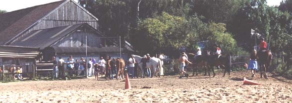 Ponyreiten